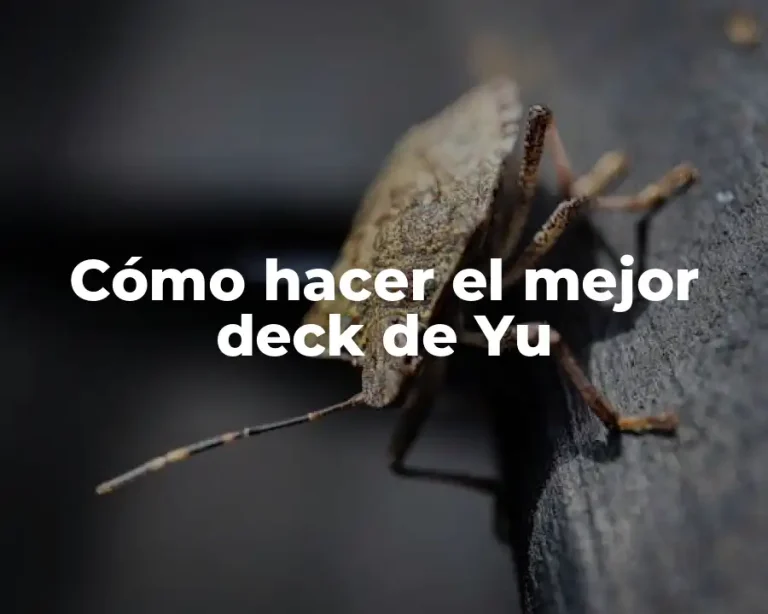 Cómo hacer el mejor deck de Yu