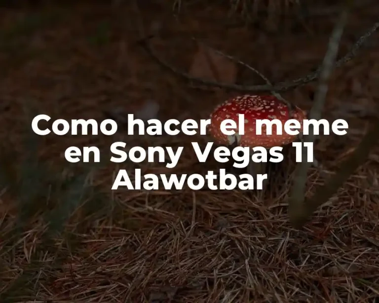 Como hacer el meme en Sony Vegas 11 Alawotbar