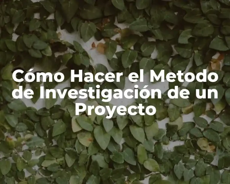 Cómo Hacer el Metodo de Investigación de un Proyecto