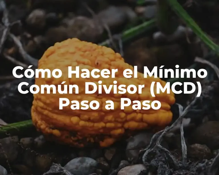 Cómo Hacer el Mínimo Común Divisor (MCD) Paso a Paso