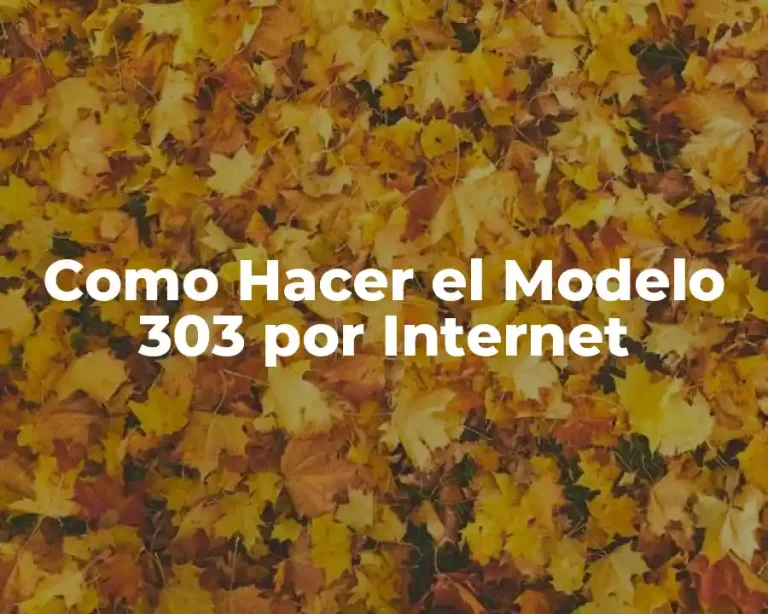 Como Hacer el Modelo 303 por Internet