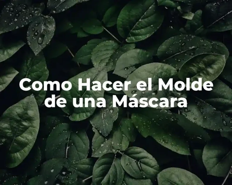 Como Hacer el Molde de una Máscara