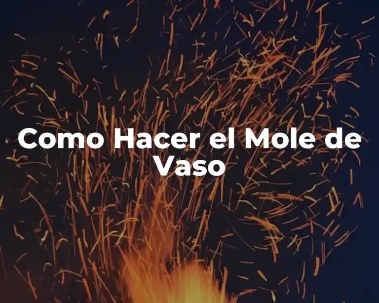 Como Hacer el Mole de Vaso