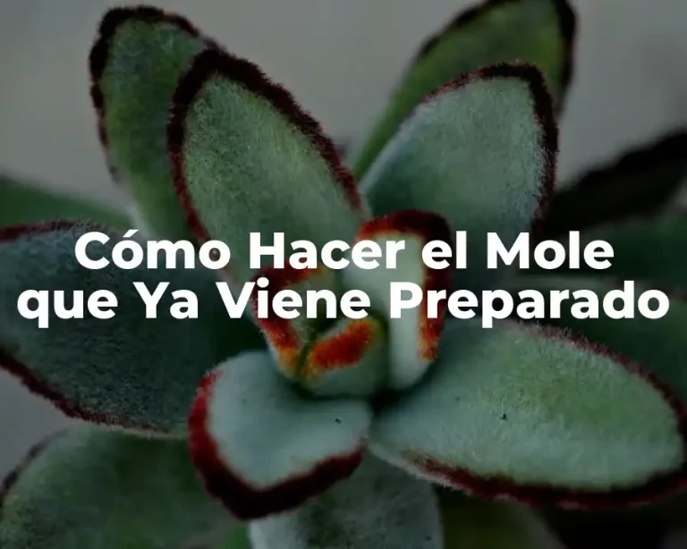 Cómo Hacer el Mole que Ya Viene Preparado