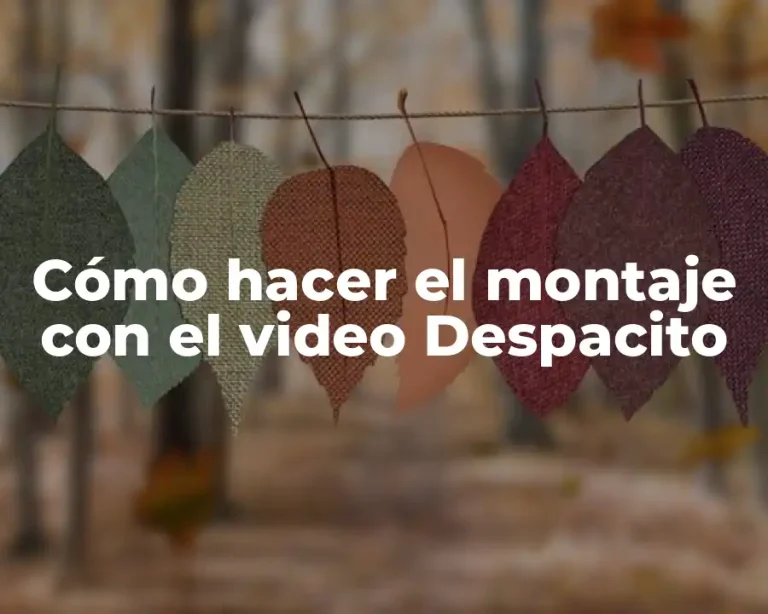 Cómo hacer el montaje con el video Despacito