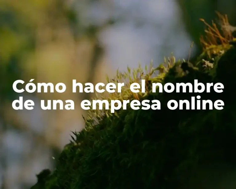 Cómo hacer el nombre de una empresa online