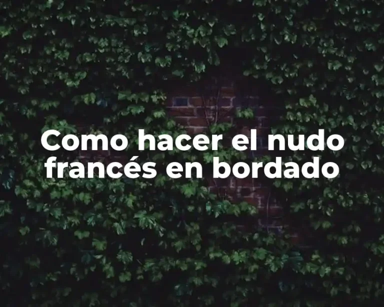 Como hacer el nudo francés en bordado