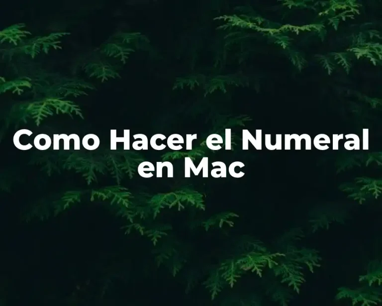 Como Hacer el Numeral en Mac
