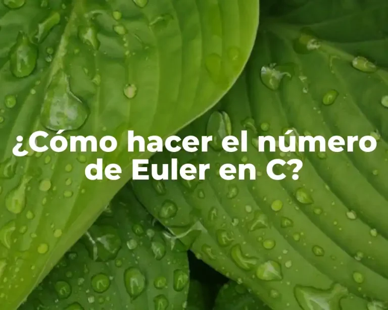 ¿Cómo hacer el número de Euler en C?