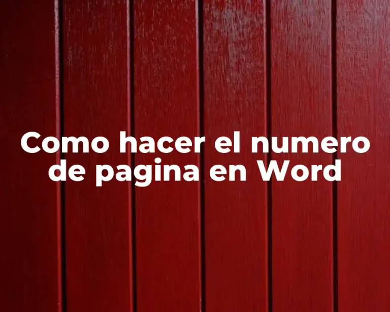 Como hacer el numero de pagina en Word