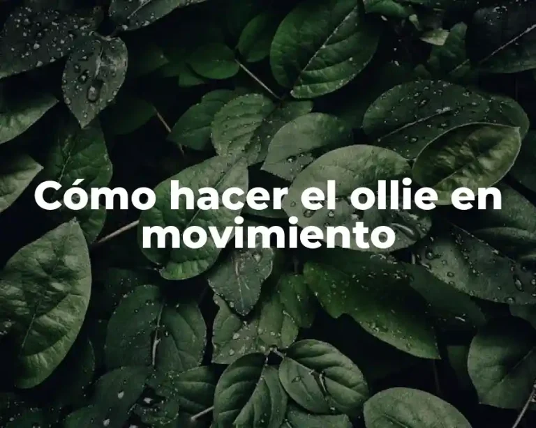 Cómo hacer el ollie en movimiento