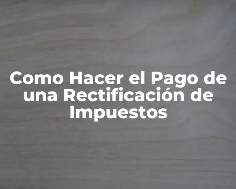 Como Hacer el Pago de una Rectificación de Impuestos