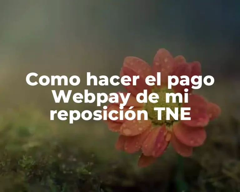 Como hacer el pago Webpay de mi reposición TNE