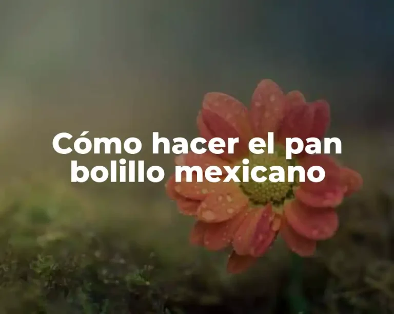 Cómo hacer el pan bolillo mexicano