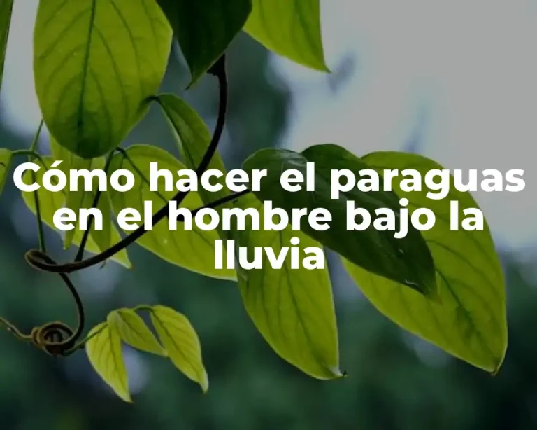 Cómo hacer el paraguas en el hombre bajo la lluvia