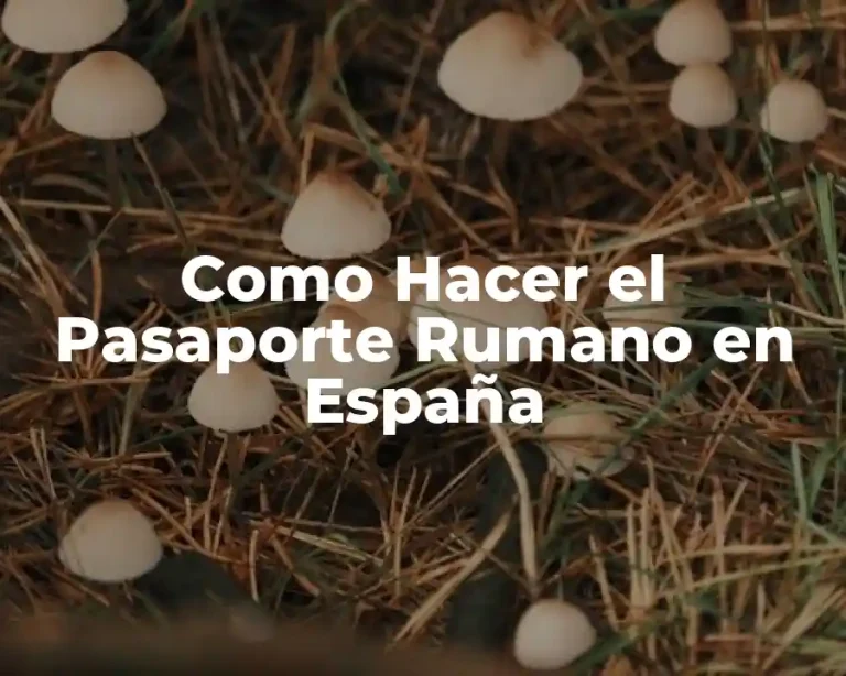 Como Hacer el Pasaporte Rumano en España