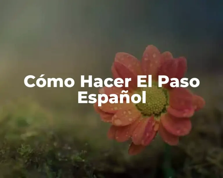 Cómo Hacer El Paso Español