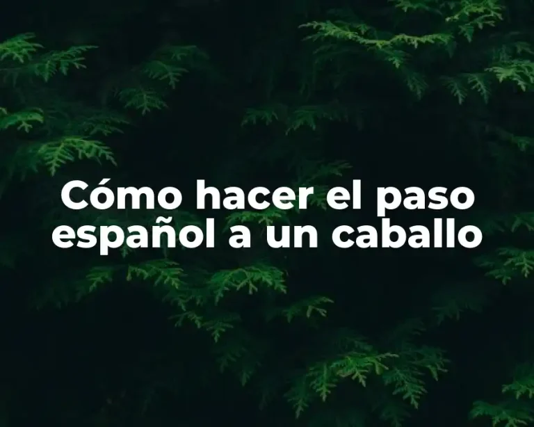 Cómo hacer el paso español a un caballo