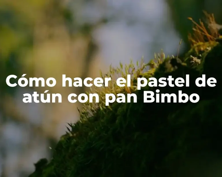 Cómo hacer el pastel de atún con pan Bimbo