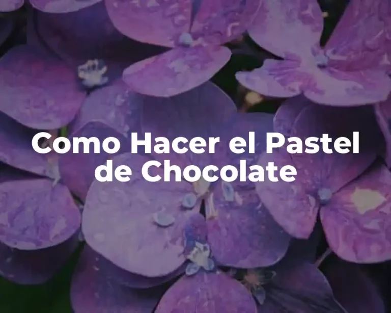 Como Hacer el Pastel de Chocolate