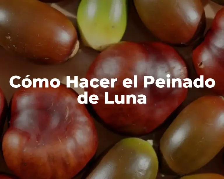 Cómo Hacer el Peinado de Luna