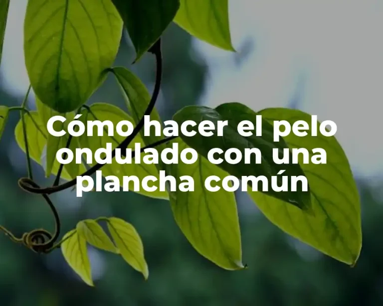 Cómo hacer el pelo ondulado con una plancha común