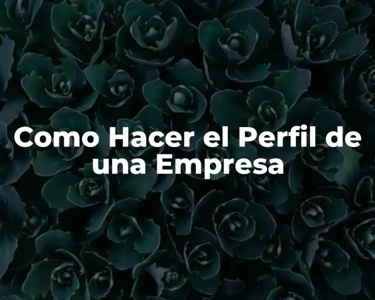 Como Hacer el Perfil de una Empresa
