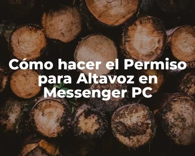 Cómo hacer el Permiso para Altavoz en Messenger PC