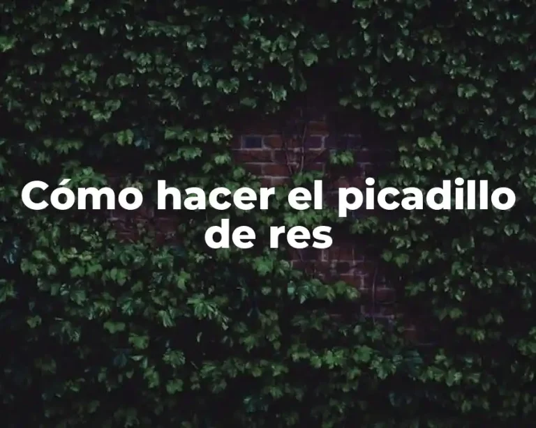 Cómo hacer el picadillo de res