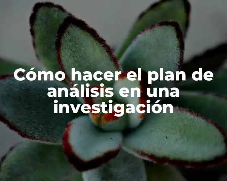 Cómo hacer el plan de análisis en una investigación