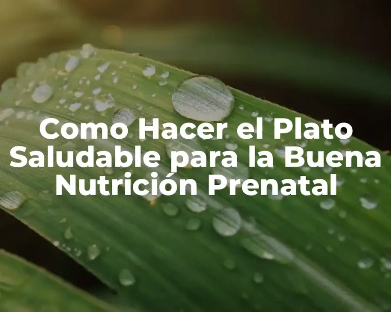 Como Hacer el Plato Saludable para la Buena Nutrición Prenatal