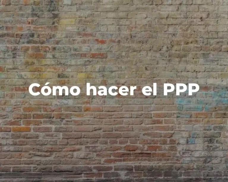 Cómo hacer el PPP