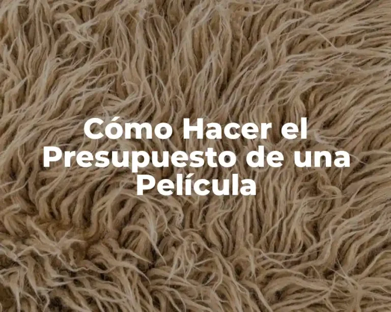 Cómo Hacer el Presupuesto de una Película