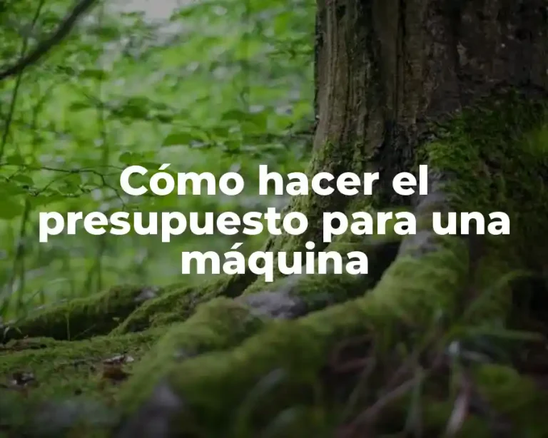 Cómo hacer el presupuesto para una máquina