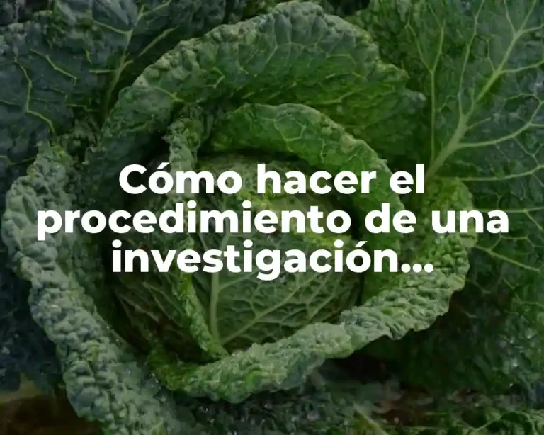 Cómo hacer el procedimiento de una investigación cuantitativa