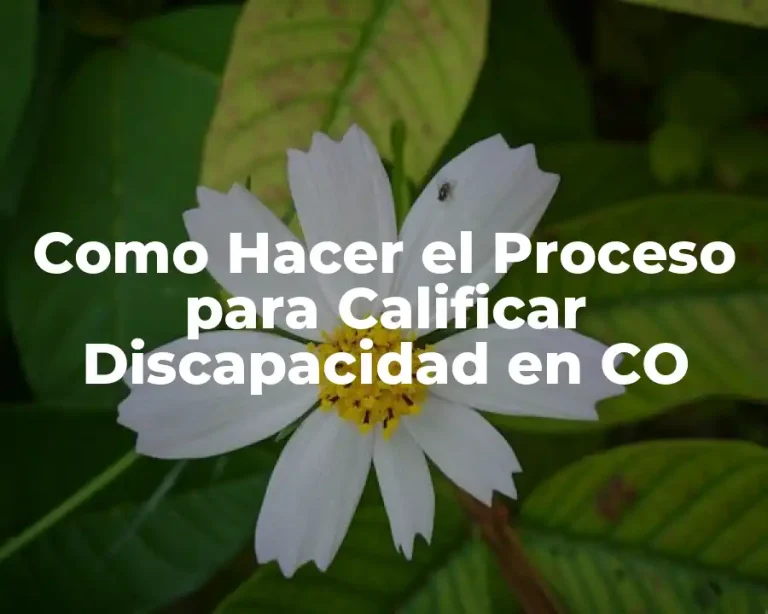 Como Hacer el Proceso para Calificar Discapacidad en CO
