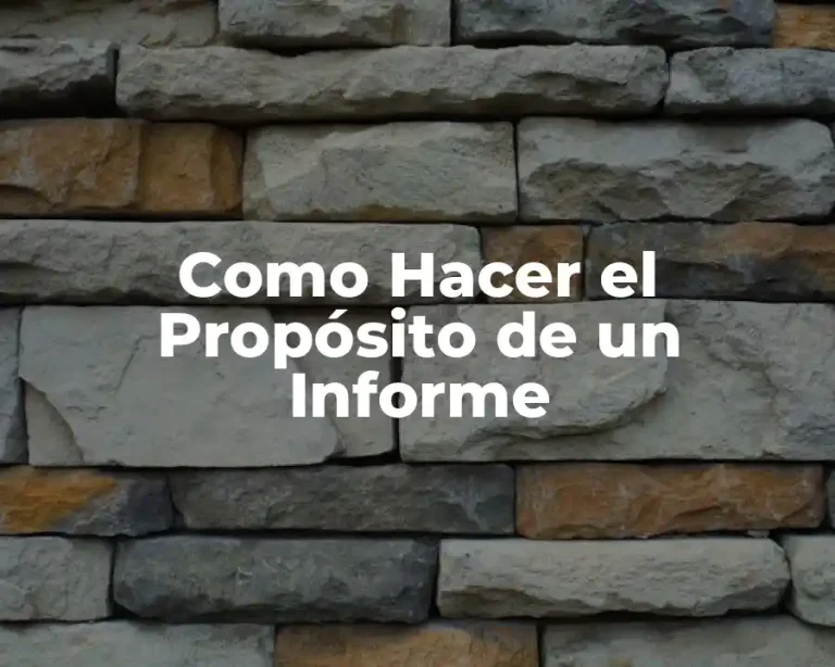 Como Hacer el Propósito de un Informe