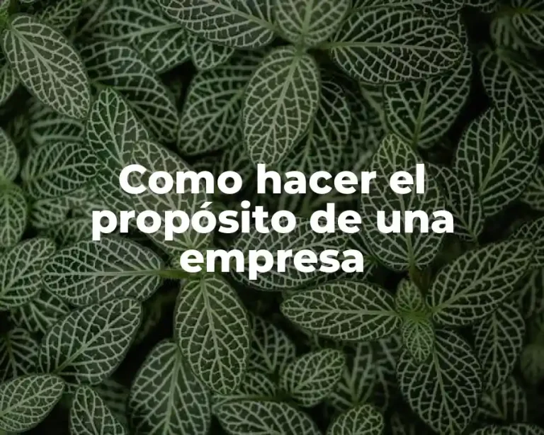 Como hacer el propósito de una empresa