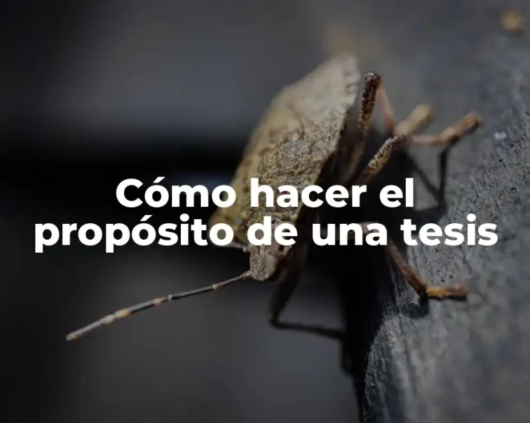 Cómo hacer el propósito de una tesis