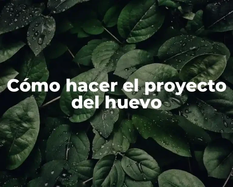 Cómo hacer el proyecto del huevo