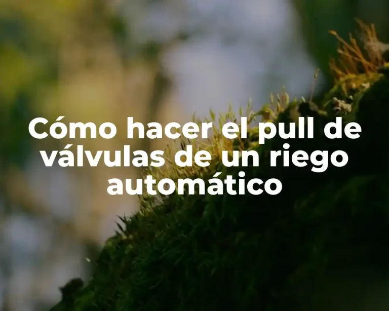 Cómo hacer el pull de válvulas de un riego automático