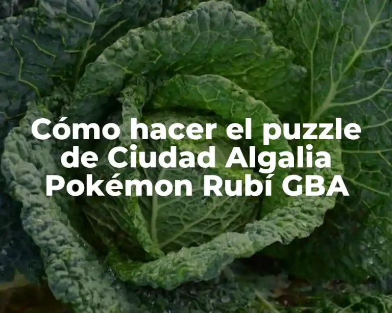 Cómo hacer el puzzle de Ciudad Algalia Pokémon Rubí GBA