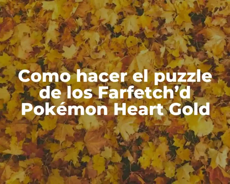 Como hacer el puzzle de los Farfetch’d Pokémon Heart Gold
