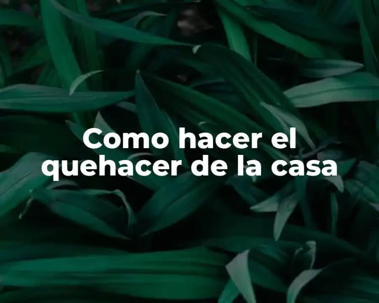 Como hacer el quehacer de la casa