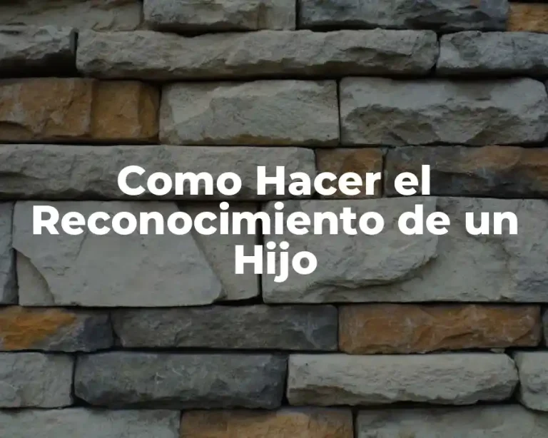Como Hacer el Reconocimiento de un Hijo