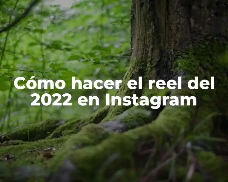 Cómo hacer el reel del 2022 en Instagram