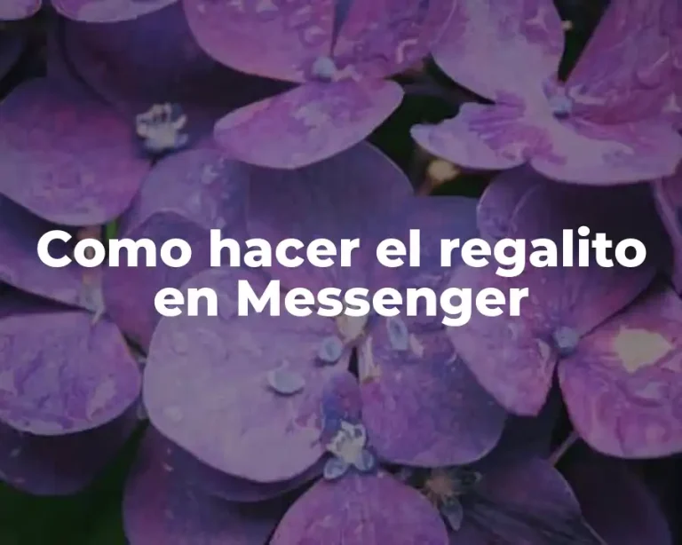 Como hacer el regalito en Messenger