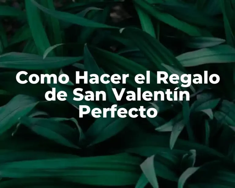 Como Hacer el Regalo de San Valentín Perfecto