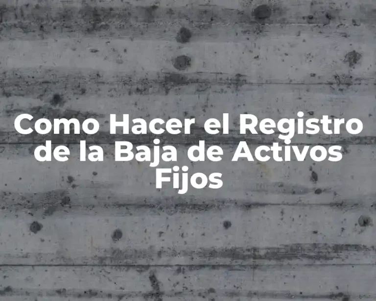 Como Hacer el Registro de la Baja de Activos Fijos