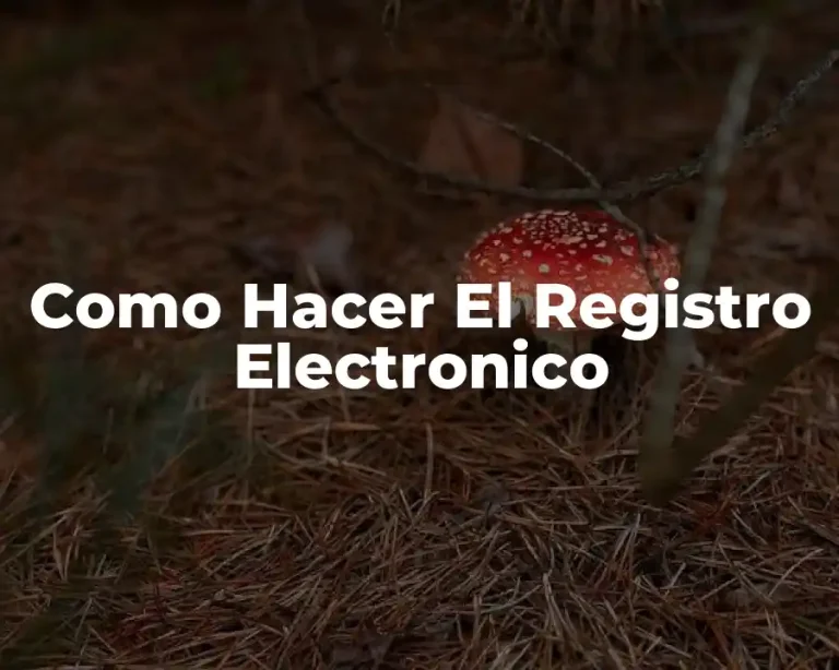 Como Hacer El Registro Electronico